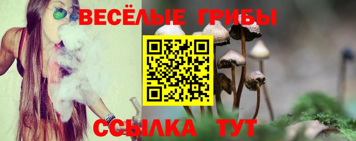 Галлюциногенные грибы MAGIC MUSHROOMS  Вход с VPN  Галлюциногенные грибы мухоморы  Красноармейск 